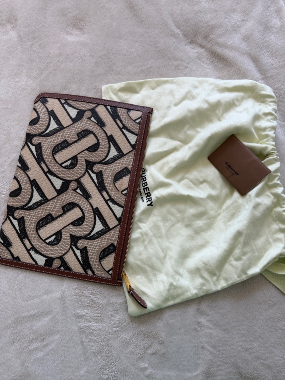 Burberry Beige & Brown TB Monogram Zip Pouch